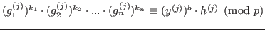 $ (g_1^{(j)})^{k_1}\cdot (g_2^{(j)})^{k_2}\cdot ... \cdot (g_n^{(j)})^{k_n}\equiv (y^{(j)})^b\cdot h^{(j)} \pmod p$